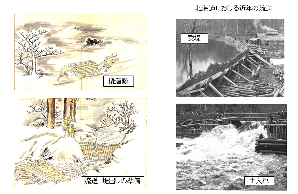 主宰講座9「北海道の森林・林業・木材産業の歴史と現状」 第1回「北海道の森林・林業・木材産業の歴史」｜トピックス｜いしかり市民カレッジ