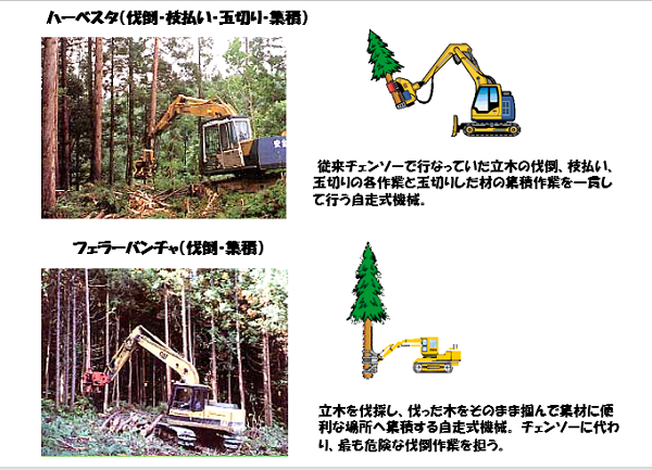 主宰講座9「北海道の森林・林業・木材産業の歴史と現状」 第1回「北海道の森林・林業・木材産業の歴史」｜トピックス｜いしかり市民カレッジ