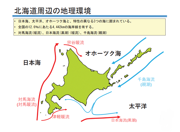 主催講座12「北海道の水産と漁村」第1回「北海道漁業の動向と生産安定に向けた取り組み」｜トピックス｜いしかり市民カレッジ